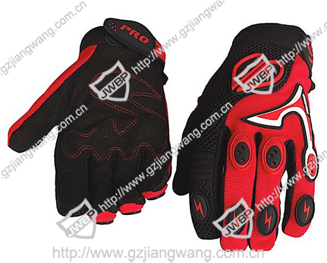 Motorcycle Glove